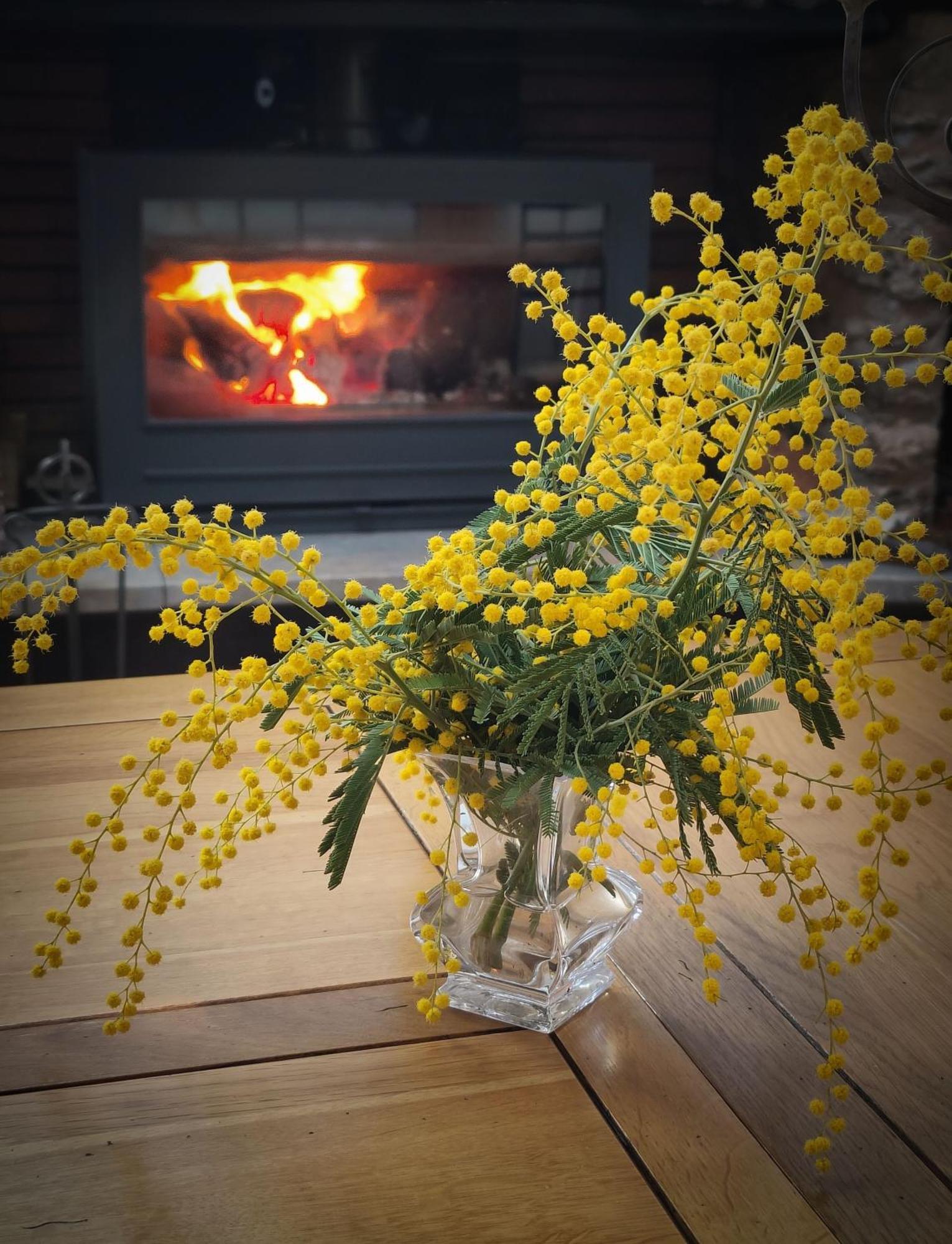 Mas Peu Del Causse Bed and Breakfast Thuir Εξωτερικό φωτογραφία